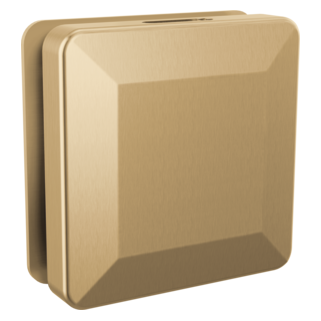 SimpleSteam Square Steam Head