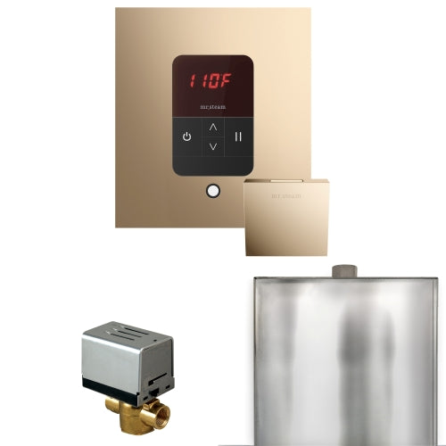 Basic Butler Steam Generator Control Package