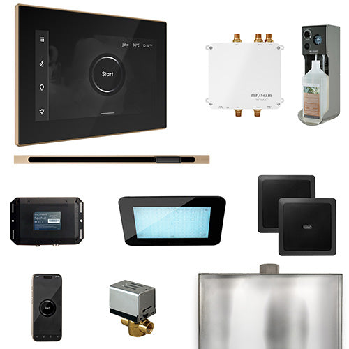 Mr.Steam Bliss Steam Shower Control Package w/ iSteamX Control
