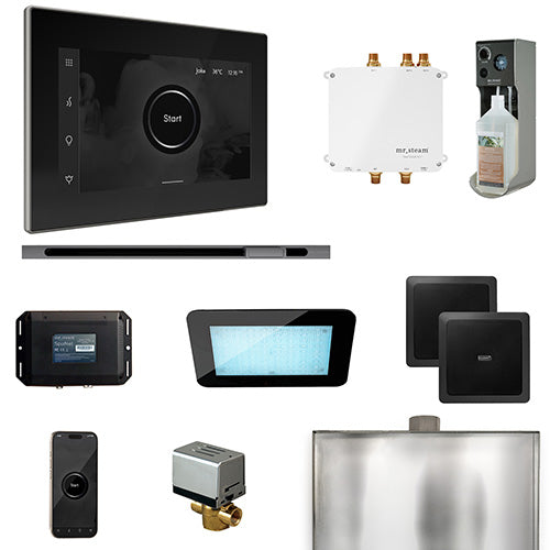Mr.Steam Bliss Steam Shower Control Package w/ iSteamX Control