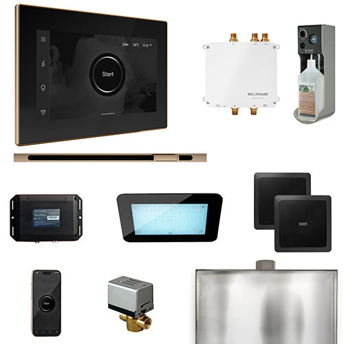 Mr.Steam Bliss Steam Shower Control Package w/ iSteamX Control