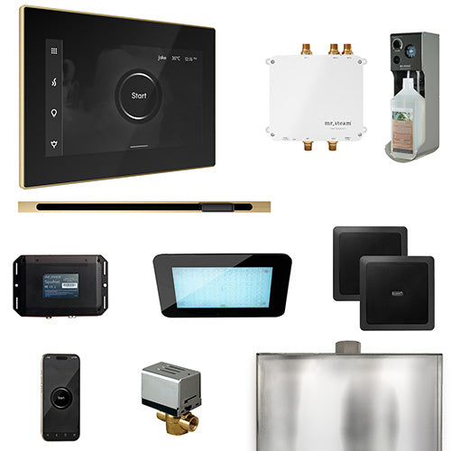Mr.Steam Bliss Steam Shower Control Package w/ iSteamX Control