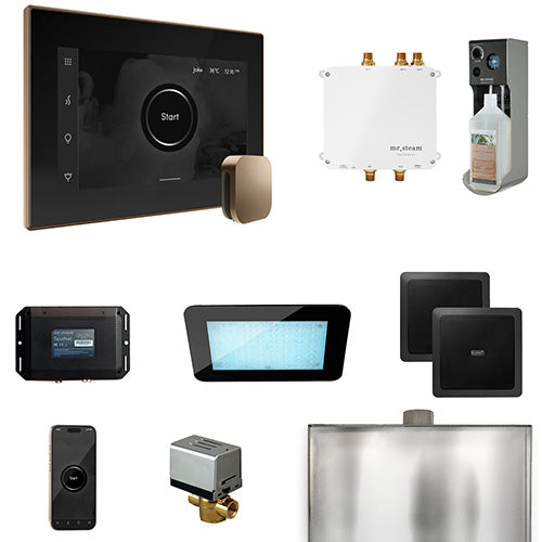 Mr.Steam Bliss Steam Shower Control Package w/ iSteamX Control