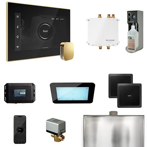 Mr.Steam Bliss Steam Shower Control Package w/ iSteamX Control