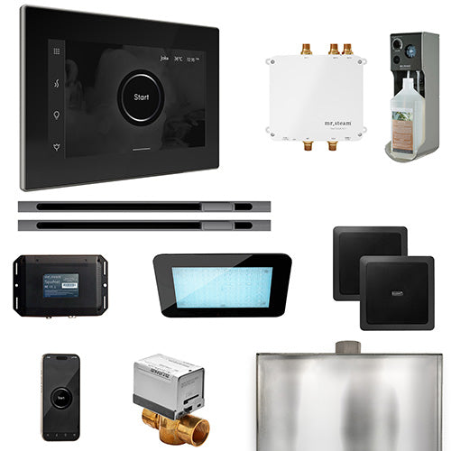Mr.Steam Bliss Steam Shower Control Package w/ iSteamX Control