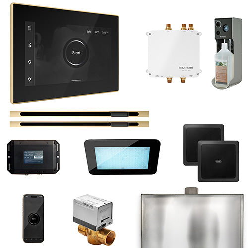 Mr.Steam Bliss Steam Shower Control Package w/ iSteamX Control