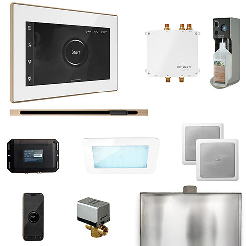 Mr.Steam Bliss Steam Shower Control Package w/ iSteamX Control