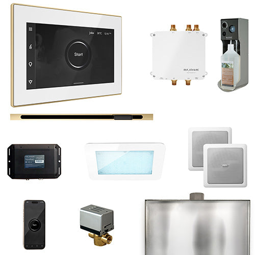 Mr.Steam Bliss Steam Shower Control Package w/ iSteamX Control