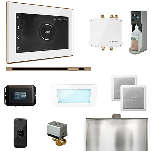 Mr.Steam Bliss Steam Shower Control Package w/ iSteamX Control
