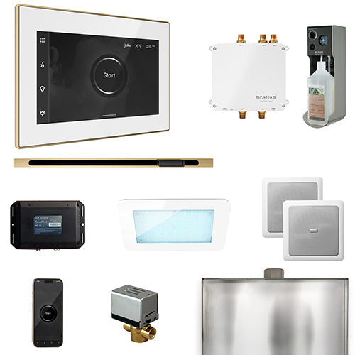 Mr.Steam Bliss Steam Shower Control Package w/ iSteamX Control