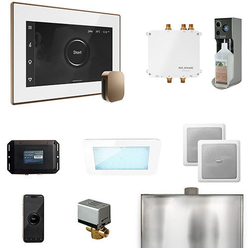Mr.Steam Bliss Steam Shower Control Package w/ iSteamX Control