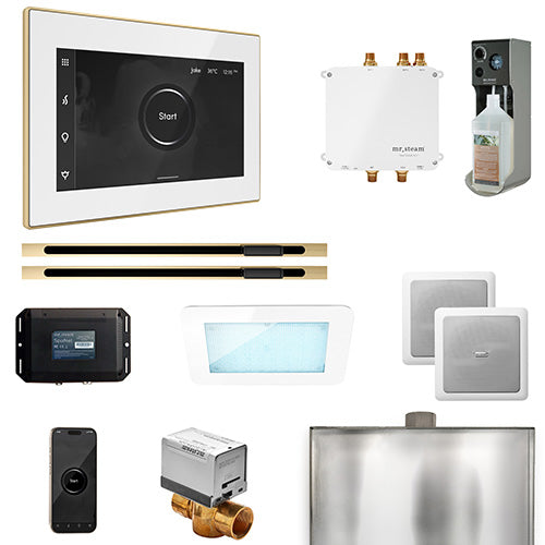 Mr.Steam Bliss Steam Shower Control Package w/ iSteamX Control