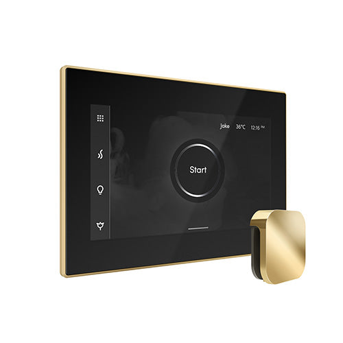 iSteamX Steam Control with Aroma Steam Head