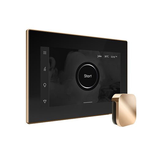 iSteamX Steam Control with Aroma Steam Head