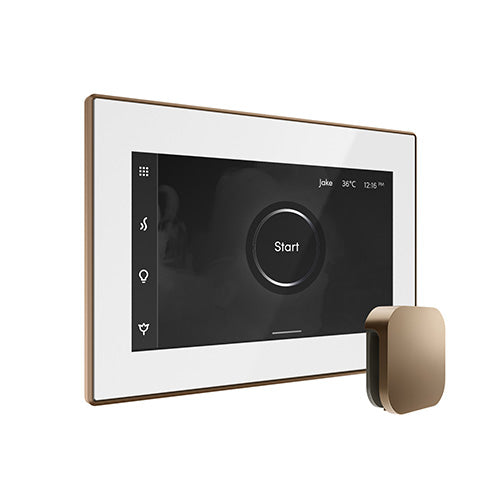 iSteamX Steam Control with Aroma Steam Head