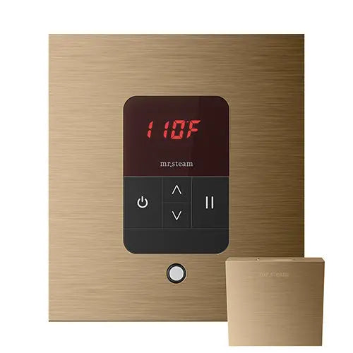 iTempo Steam Control & Aroma Designer Steam Head Mr.Steam