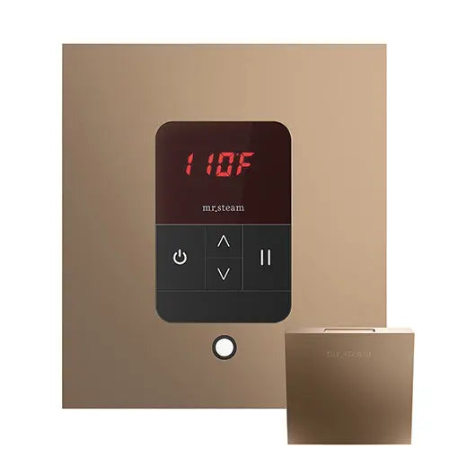 iTempo Steam Control & Aroma Designer Steam Head Mr.Steam