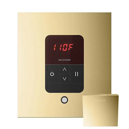 iTempo Steam Control & Aroma Designer Steam Head Mr.Steam