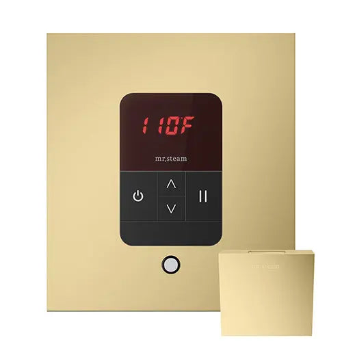 iTempo Steam Control & Aroma Designer Steam Head Mr.Steam