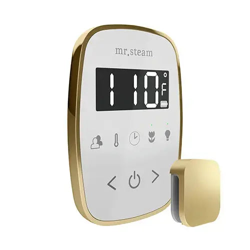 TempoFlex Steam Control & Aroma SteamHead Mr.Steam