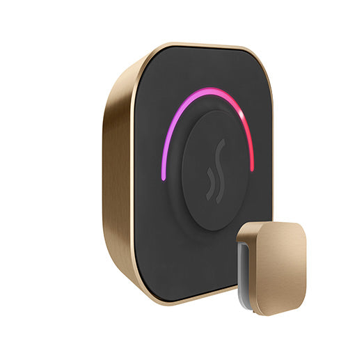 TempoTouch Steam Control & Aroma Steam Head