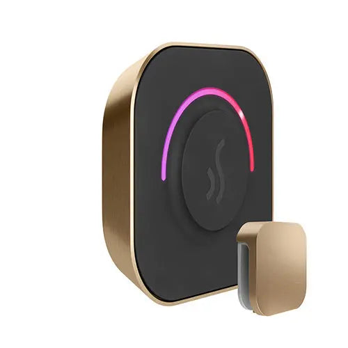 TempoTouch Steam Control & Aroma Steam Head Mr.Steam