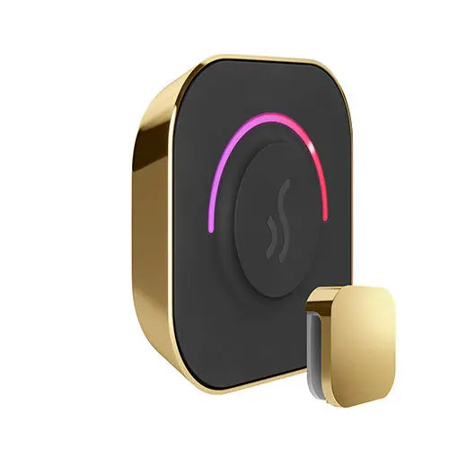 TempoTouch Steam Control & Aroma Steam Head Mr.Steam