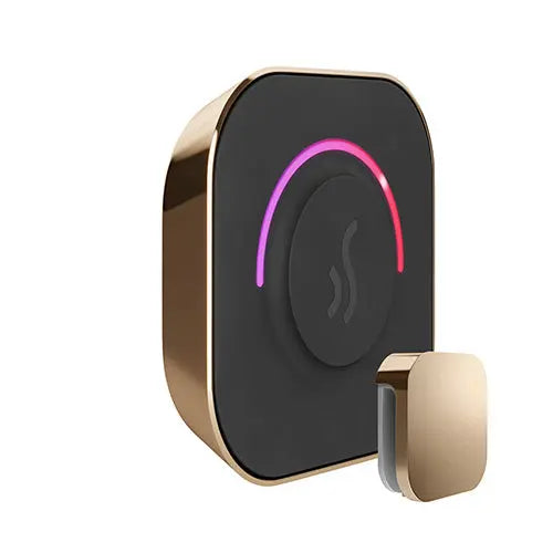TempoTouch Steam Control & Aroma Steam Head Mr.Steam