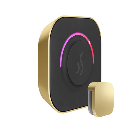 TempoTouch Steam Control & Aroma Steam Head