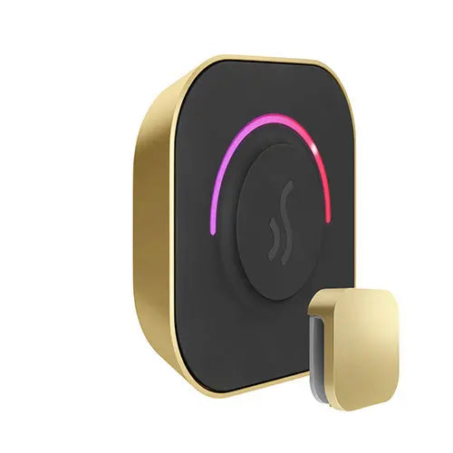 TempoTouch Steam Control & Aroma Steam Head Mr.Steam