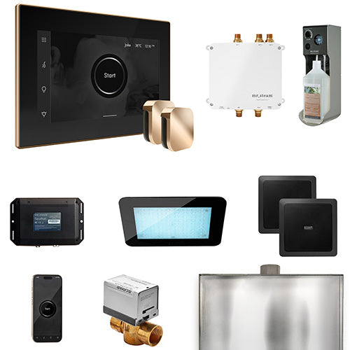Mr.Steam Bliss Steam Shower Control Package w/ iSteamX Control