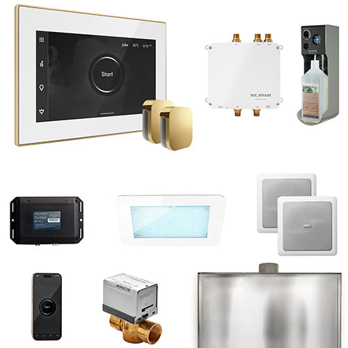 Mr.Steam Bliss Steam Shower Control Package w/ iSteamX Control