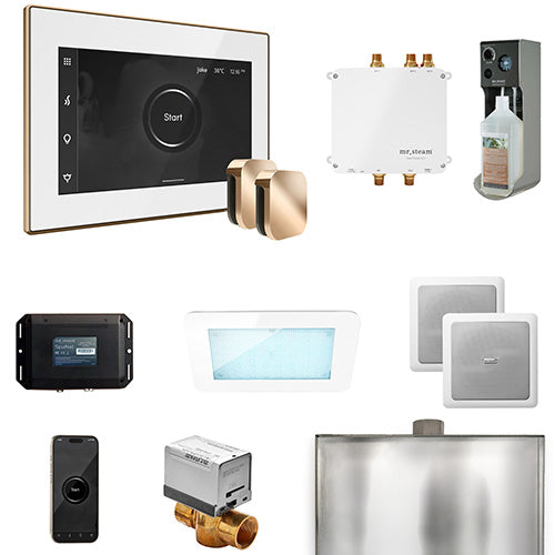 Mr.Steam Bliss Steam Shower Control Package w/ iSteamX Control