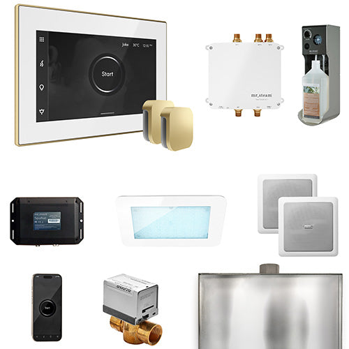 Mr.Steam Bliss Steam Shower Control Package w/ iSteamX Control