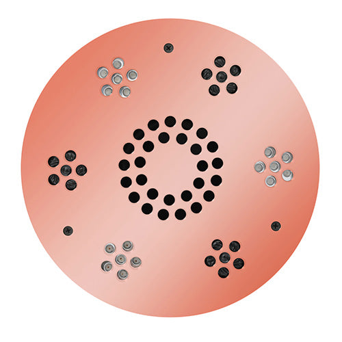 Serenity Essential Shower Head