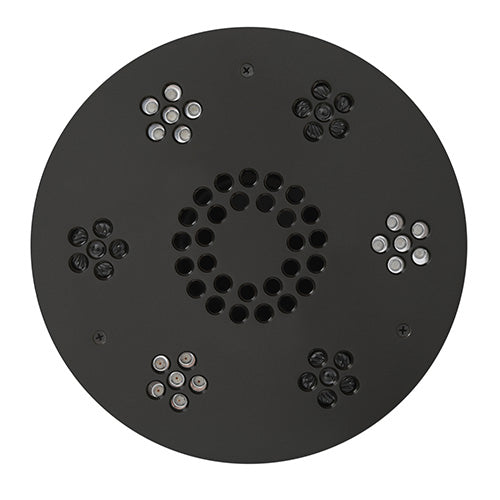 Serenity Essential Shower Head