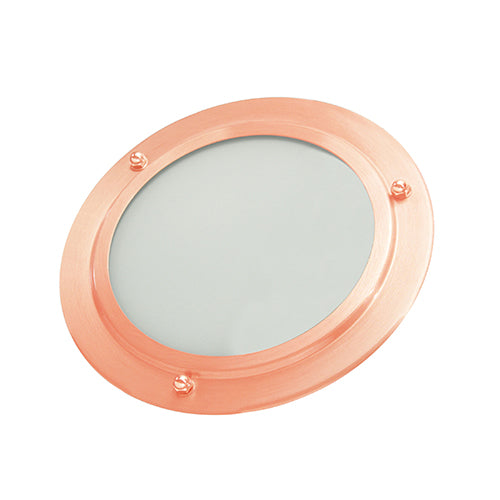 Shower LED Light