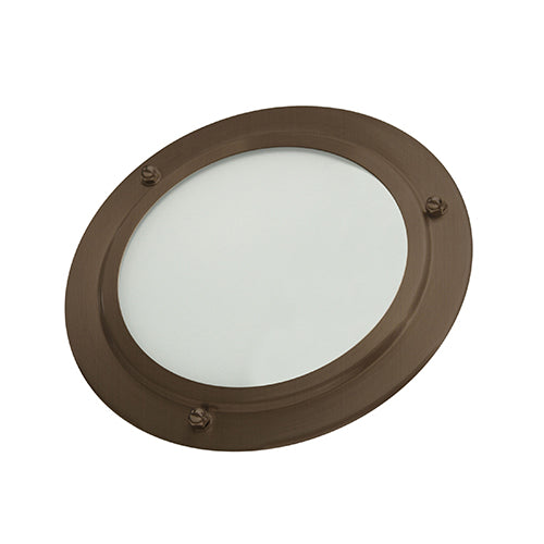 Shower LED Light