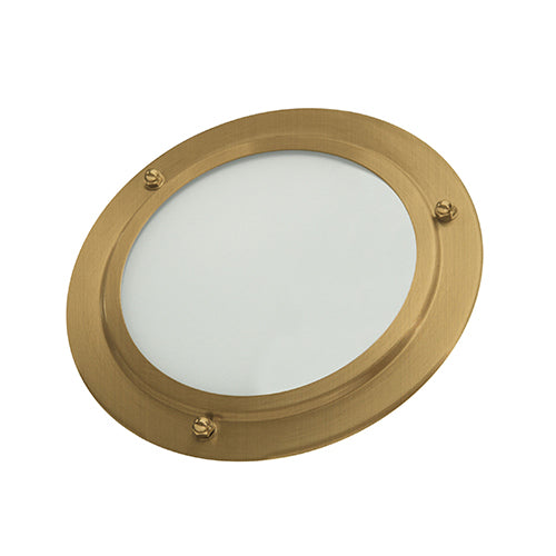 Shower LED Light