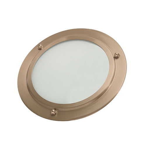 Shower LED Light