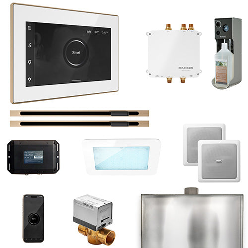 Mr.Steam Bliss Steam Shower Control Package w/ iSteamX Control