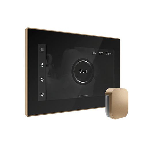 iSteamX Steam Control with Aroma Steam Head