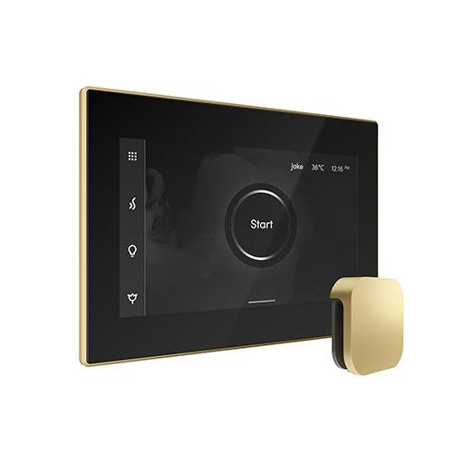 iSteamX Steam Control with Aroma Steam Head