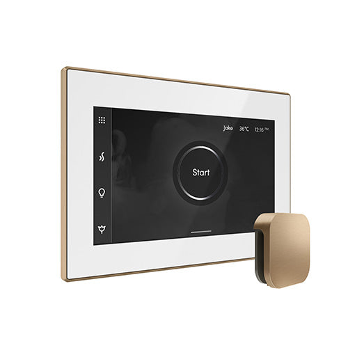 iSteamX Steam Control with Aroma Steam Head