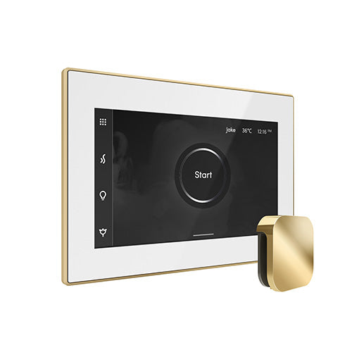 iSteamX Steam Control with Aroma Steam Head