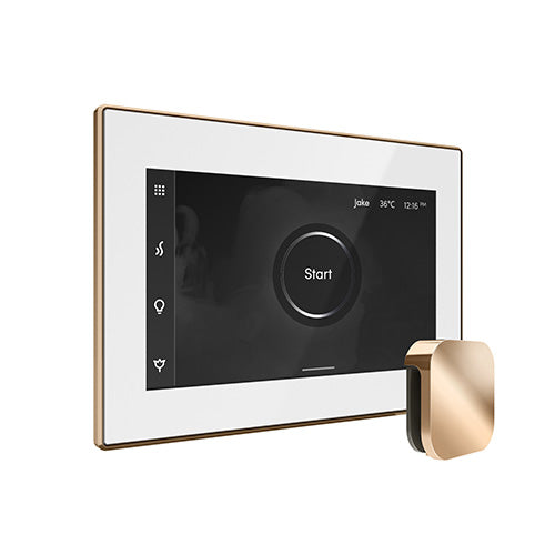 iSteamX Steam Control with Aroma Steam Head