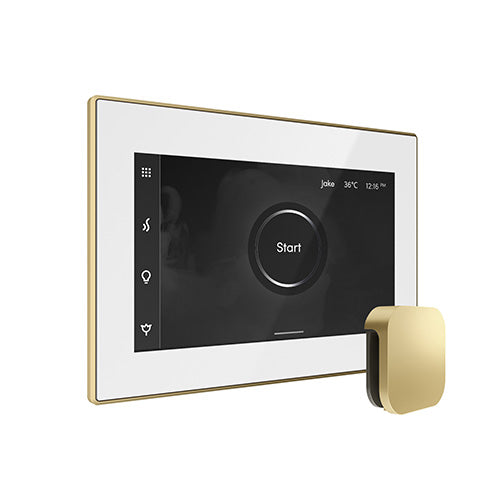iSteamX Steam Control with Aroma Steam Head
