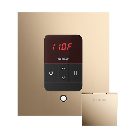 iTempo Steam Control & Aroma Designer Steam Head