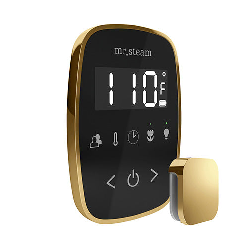 TempoFlex Steam Control & Aroma SteamHead