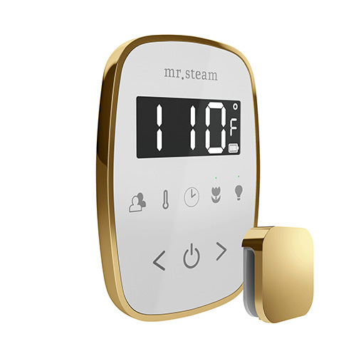 TempoFlex Steam Control & Aroma SteamHead